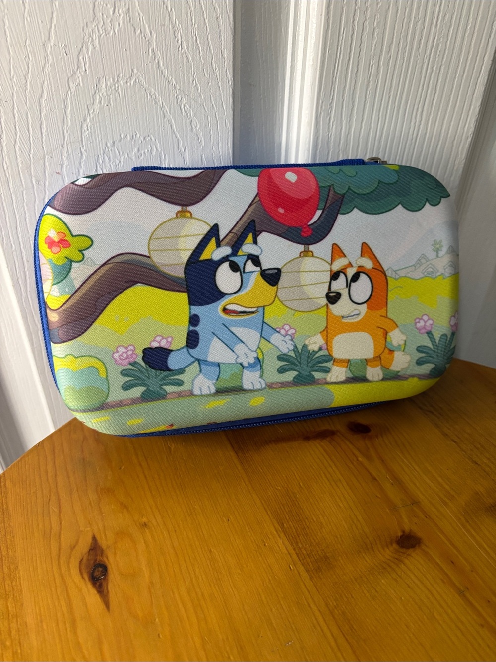 Bluey and Bingo Cartoon Zip Pencil Box